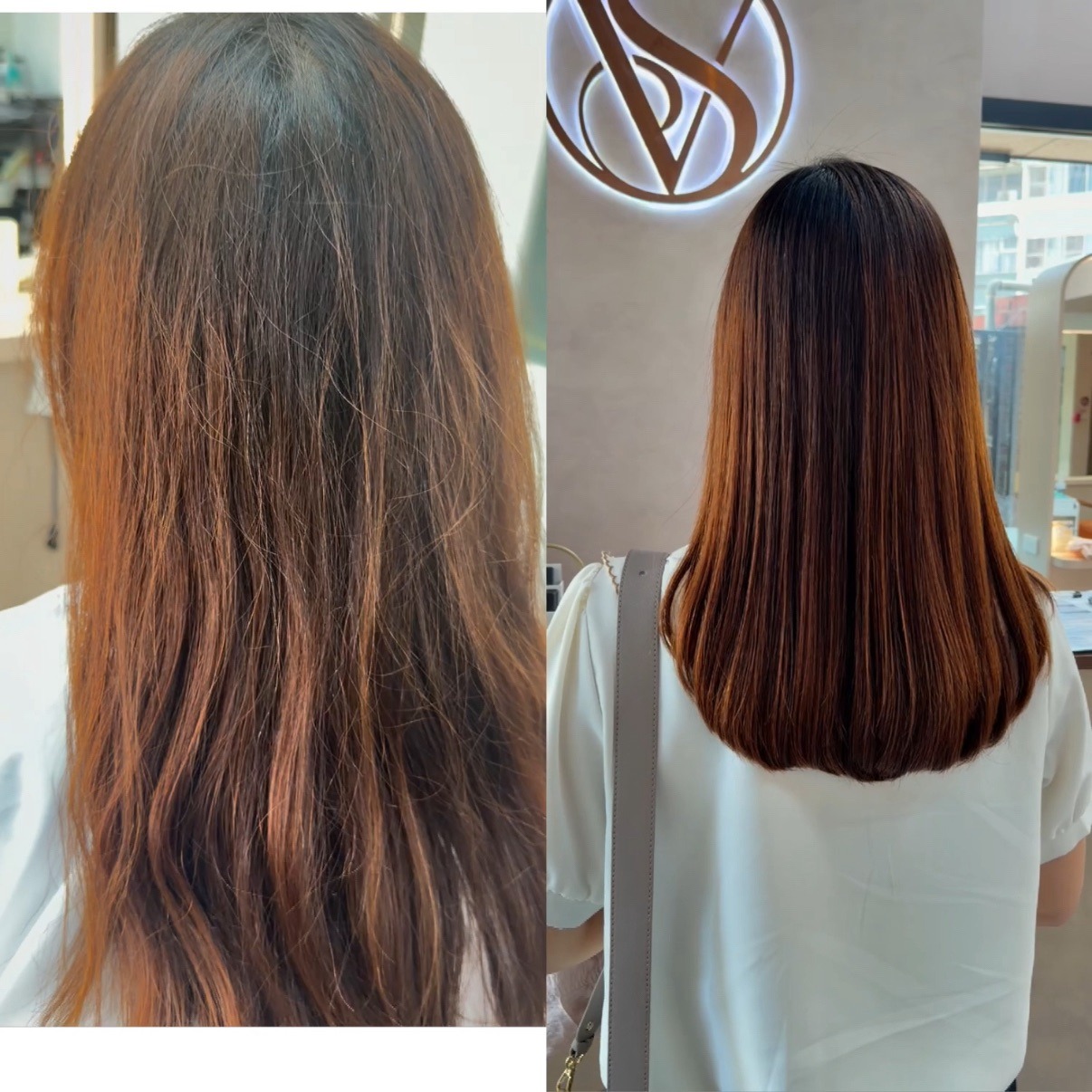 台中西屯髮廊推薦｜開學季煥新提案！VS hair 夏季曬後修復與秋冬質感染髮，水豚君陪你迎接新學期